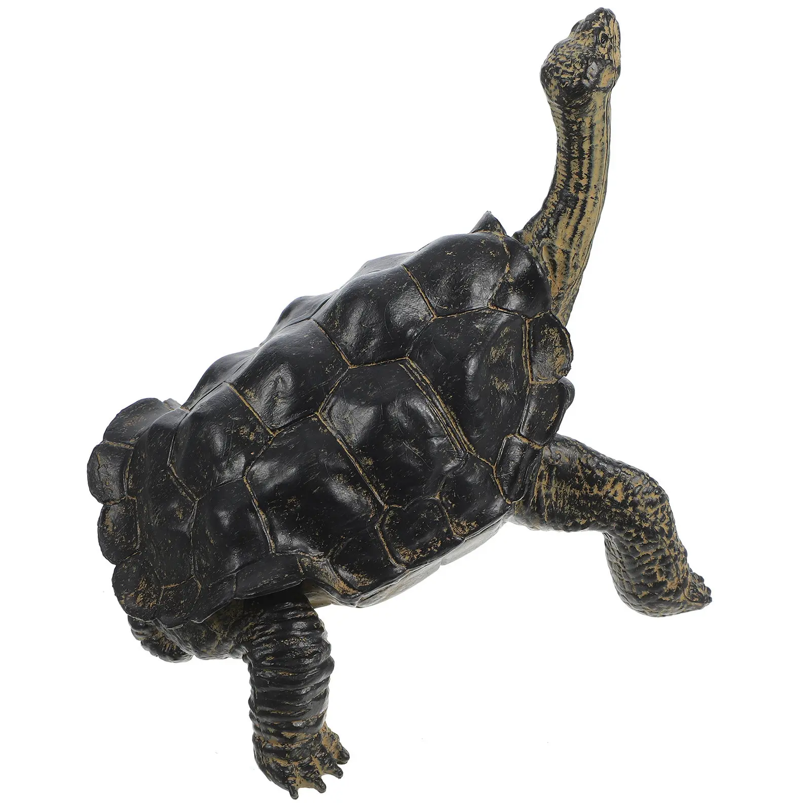 Simulation Turtle Figure Solid Hard Plastic Realistic Animal Sculpture Educational Cognitive Decoration for Kids
Simulation Turtle Figure Solid Hard Plastic Realistic Animal Sculpture Educational Cognitive Decoration for Kids