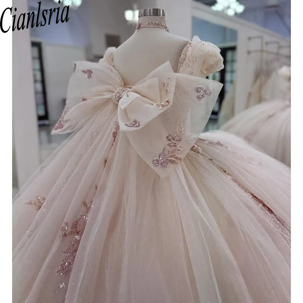 Champagne Ball Gown Quinceanera Dress Floral Lace Applique Bow Sweet 16 Vestidos De 15 Anos
Champagne Ball Gown Quinceanera Dress Floral Lace Applique Bow Sweet 16 Vestidos De 15 Anos