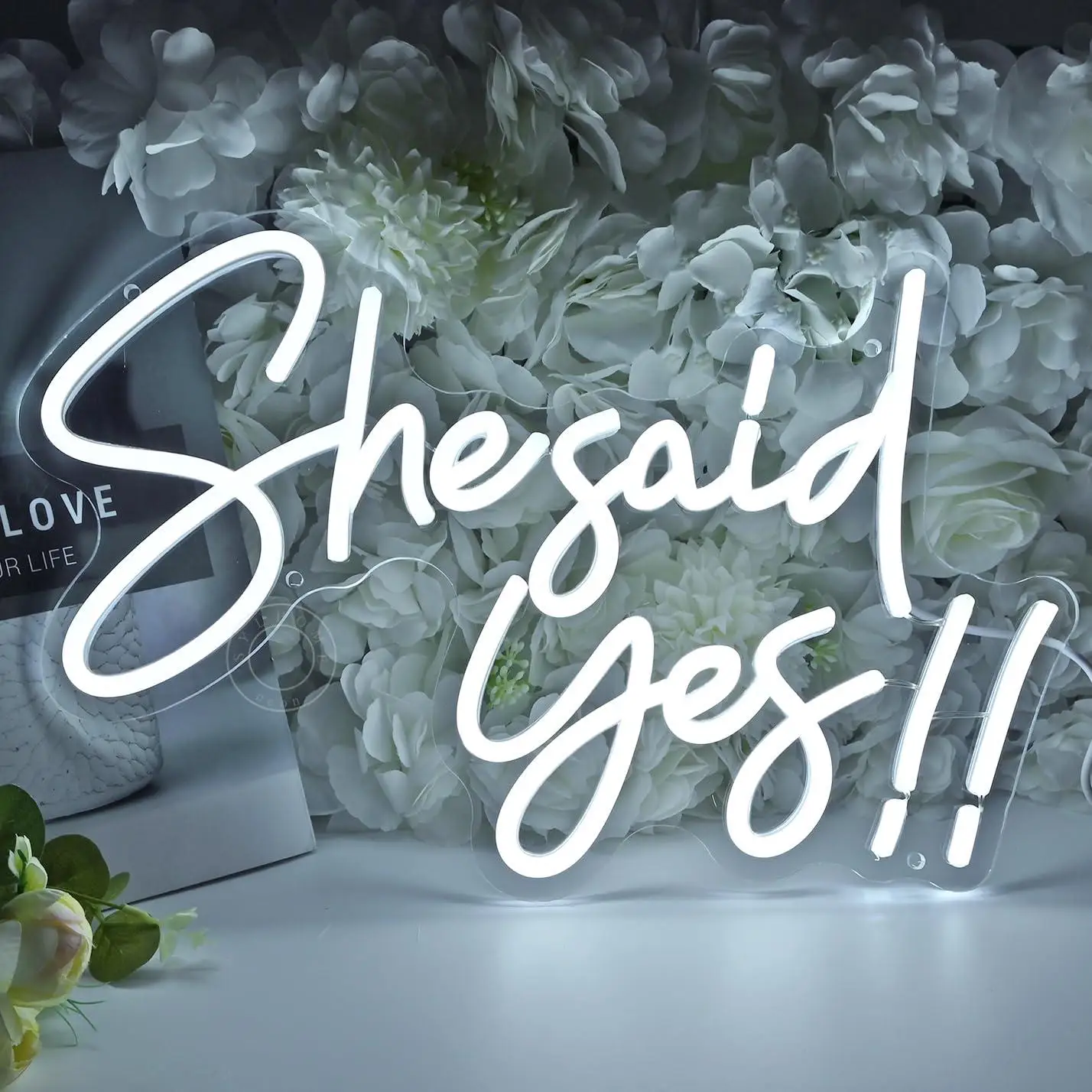 She Said Yes Neon Sign USB Dimmable LED Light for Propose Engagement Wedding Bachelorette Bridal Shower Party Bedroom Decor Gift
She Said Yes Neon Sign USB Dimmable LED Light for Propose Engagement Wedding Bachelorette Bridal Shower Party Bedroom Decor Gift