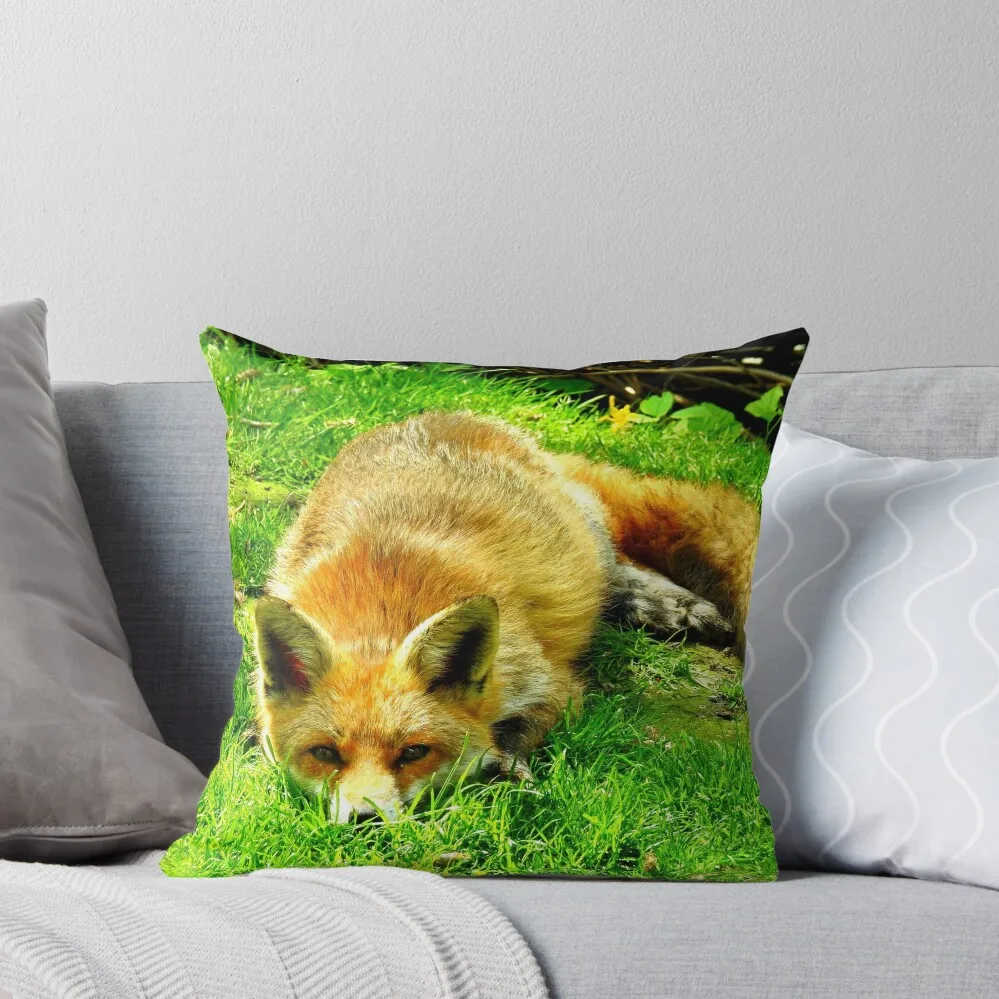 Sleeping Beauty Throw Pillow Christmas Pillow Covers Decorative Cushion ornamental pillows Sitting Cushion pillow
Sleeping Beauty Throw Pillow Christmas Pillow Covers Decorative Cushion ornamental pillows Sitting Cushion pillow