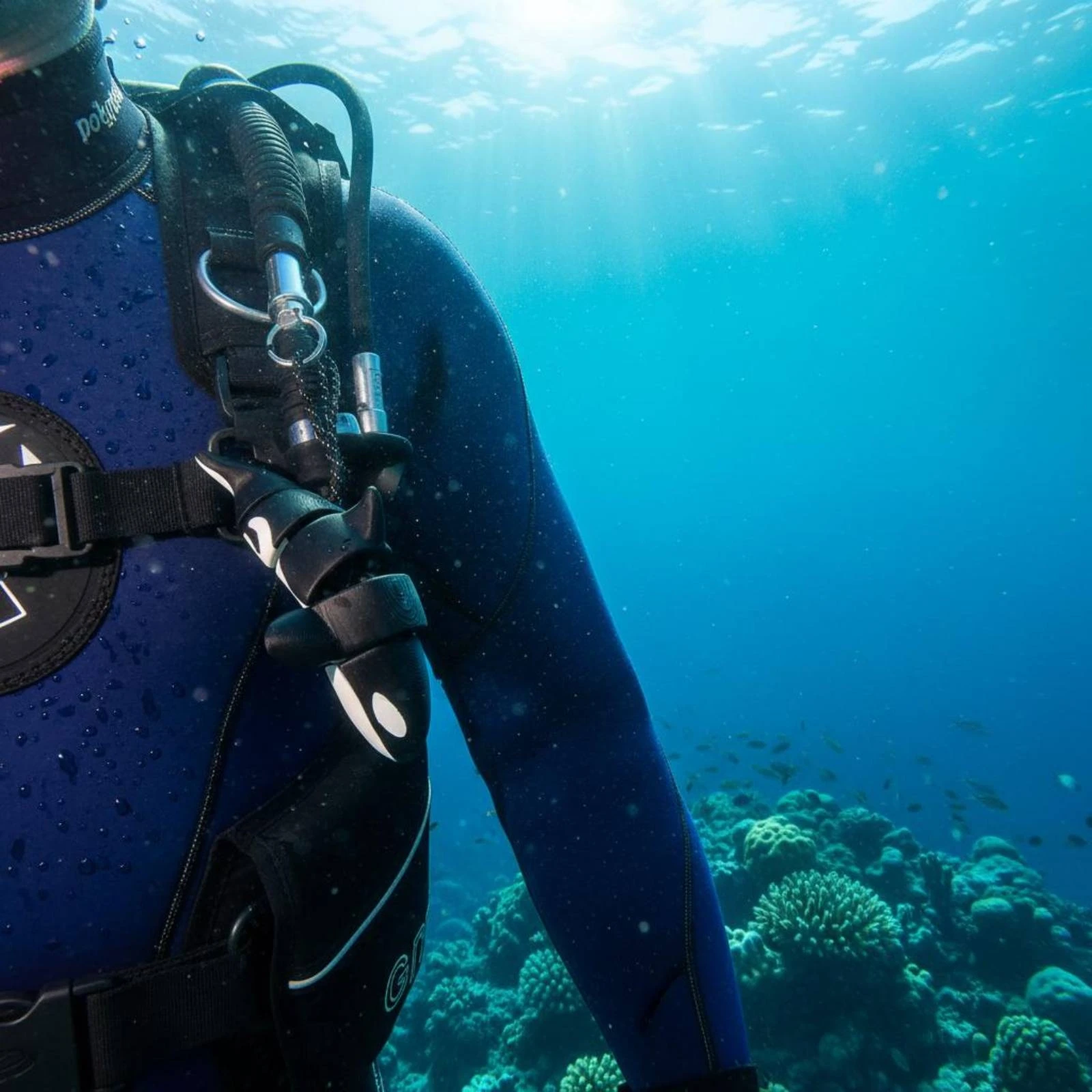 BCD Charm Movable Joints Dive Buddy Figure Underwater Doll Buoyant Buoy Diving Charm Cute Design for Divers, Snorkeling
BCD Charm Movable Joints Dive Buddy Figure Underwater Doll Buoyant Buoy Diving Charm Cute Design for Divers, Snorkeling