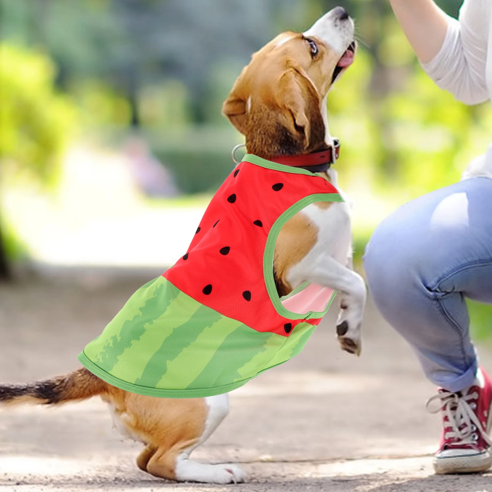 1PC Pet Watermelon Cooling Vest Dog Clothes Air Conditioner Ice Shirt Puppy Outdoors Indoor Exercise Breathable for Hot
1PC Pet Watermelon Cooling Vest Dog Clothes Air Conditioner Ice Shirt Puppy Outdoors Indoor Exercise Breathable for Hot
