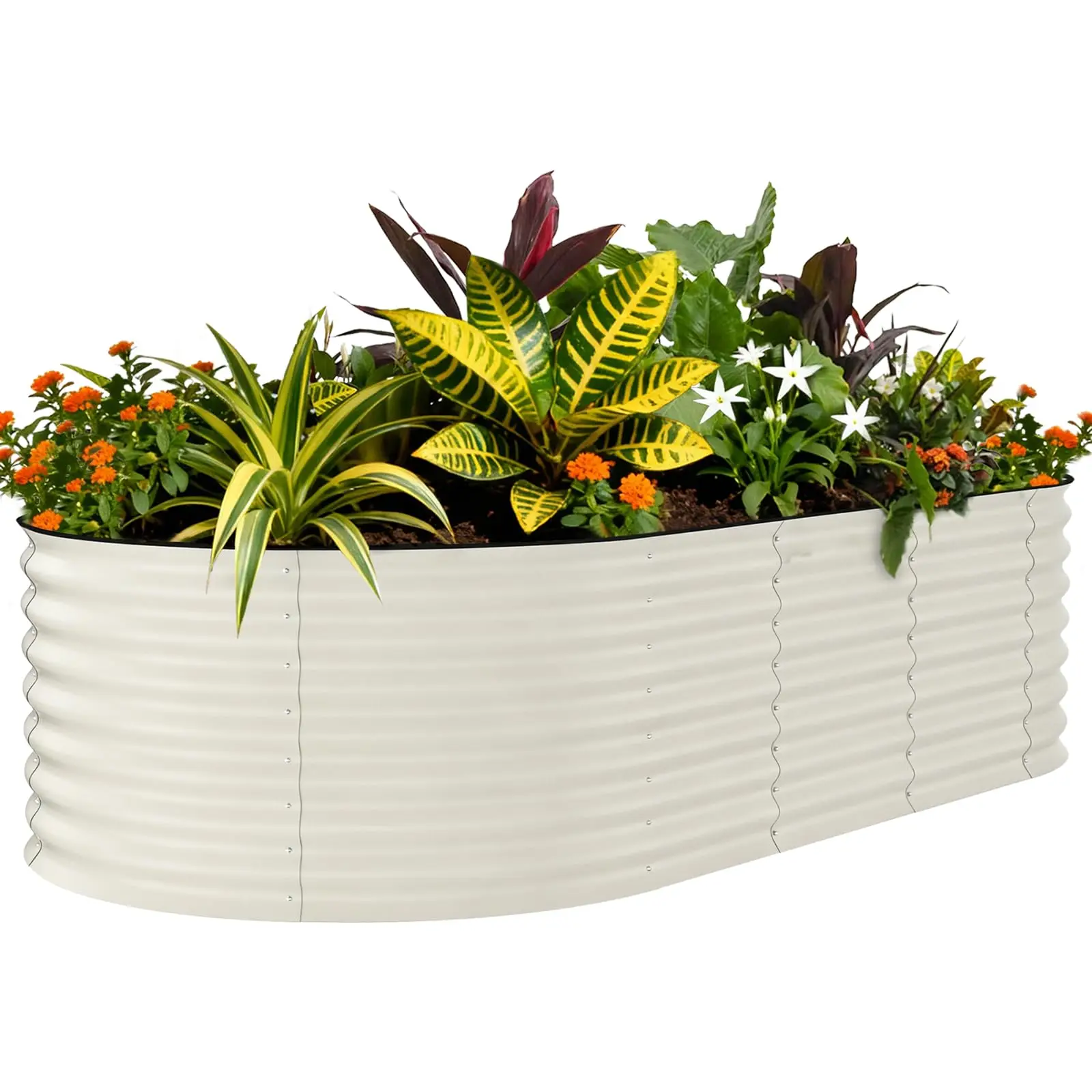 Galvanized Raised Garden Bed Outdoor, 240*120*60cm, Oval Metal Planter Box for Vegetables, Flowers, Fruits Easy Assembly
Galvanized Raised Garden Bed Outdoor, 240*120*60cm, Oval Metal Planter Box for Vegetables, Flowers, Fruits Easy Assembly