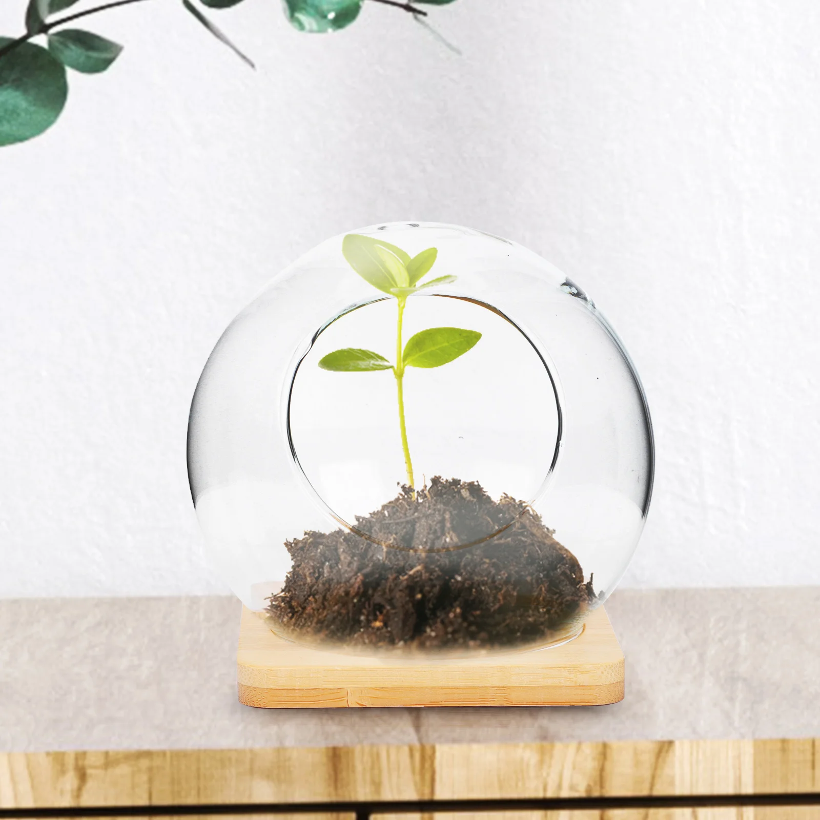 1 Set Of Dual-Slanted Micro Landscape Bottle Glass Succulent Vase For Home Decor Storage Container Diy Terrarium Craft Glass
1 Set Of Dual-Slanted Micro Landscape Bottle Glass Succulent Vase For Home Decor Storage Container Diy Terrarium Craft Glass