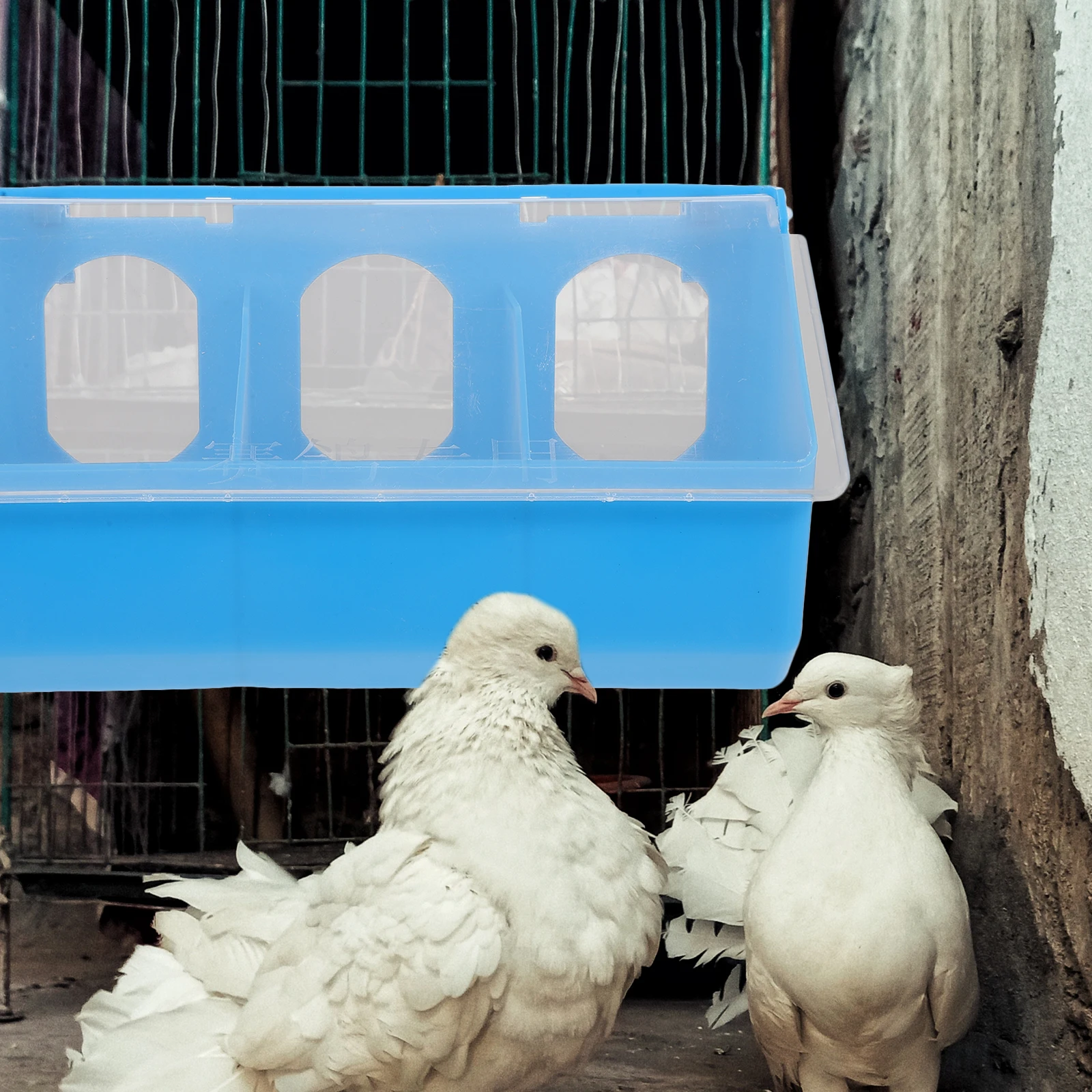 Pigeon Feed Box 3 Holes Hanging Blue Durable Plastic Bird Feeder Parrot Cage Accessories Parakeet Feeders Outside Wear Resistant
Pigeon Feed Box 3 Holes Hanging Blue Durable Plastic Bird Feeder Parrot Cage Accessories Parakeet Feeders Outside Wear Resistant
