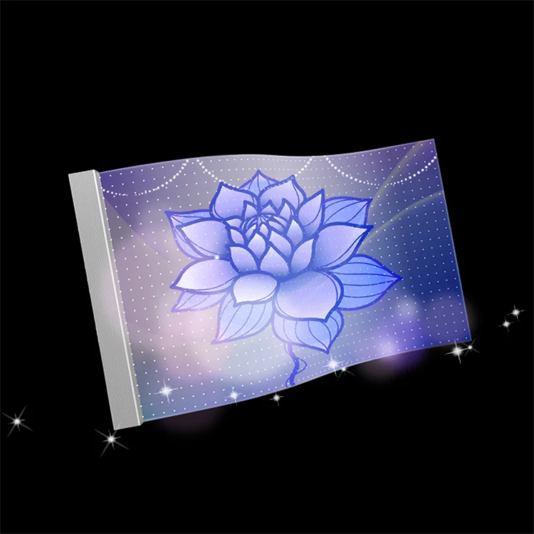 Hot Selling Display Media Facade Advertisement for Glass P8 DC5V Adhesive Wall Indoorflexible Led Transparent Film Screen
Hot Selling Display Media Facade Advertisement for Glass P8 DC5V Adhesive Wall Indoorflexible Led Transparent Film Screen