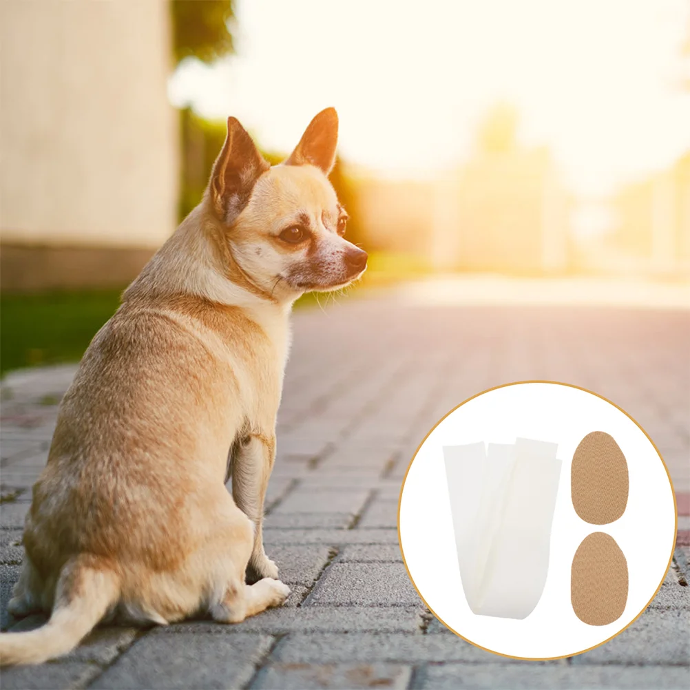 2 Pairs Dog Ear Stand Supply Standing Tool Tape Aid Puppy Ear Correction Safe Material Use Practical
2 Pairs Dog Ear Stand Supply Standing Tool Tape Aid Puppy Ear Correction Safe Material Use Practical