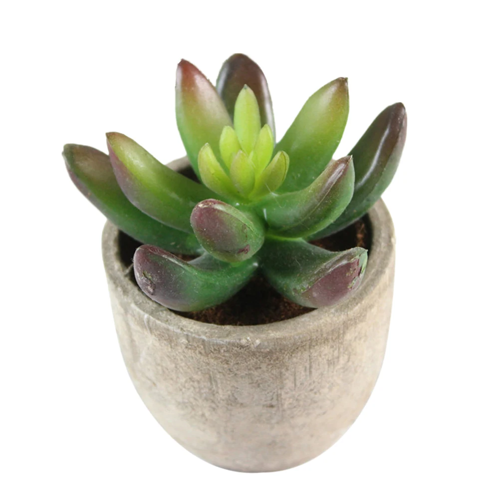 3 Pcs Fake Succulent Plants 6 5x6 5x7cm Artificial Bonsai Decor Planters Desk Shelf Room Bedroom Office Gifts
3 Pcs Fake Succulent Plants 6 5x6 5x7cm Artificial Bonsai Decor Planters Desk Shelf Room Bedroom Office Gifts