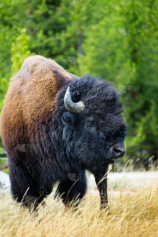 FOR 1/10 Tamiya M Car RC Flat Run Drift Universal MJX 1/14 Rally Car 60D Wheel Tire W246
FOR 1/10 Tamiya M Car RC Flat Run Drift Universal MJX 1/14 Rally Car 60D Wheel Tire W246