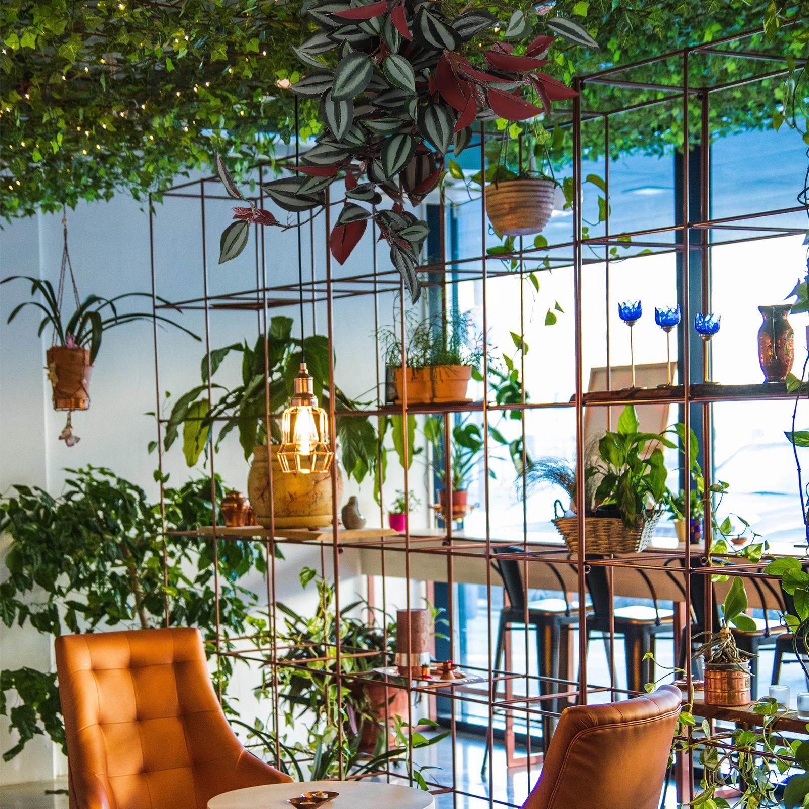 1pc Rattan Decorative Pendant Fresh Natural Wall Hanging Home Room Plastic Vine Artificial RedSimulation Rattan Hanging Decor
1pc Rattan Decorative Pendant Fresh Natural Wall Hanging Home Room Plastic Vine Artificial RedSimulation Rattan Hanging Decor