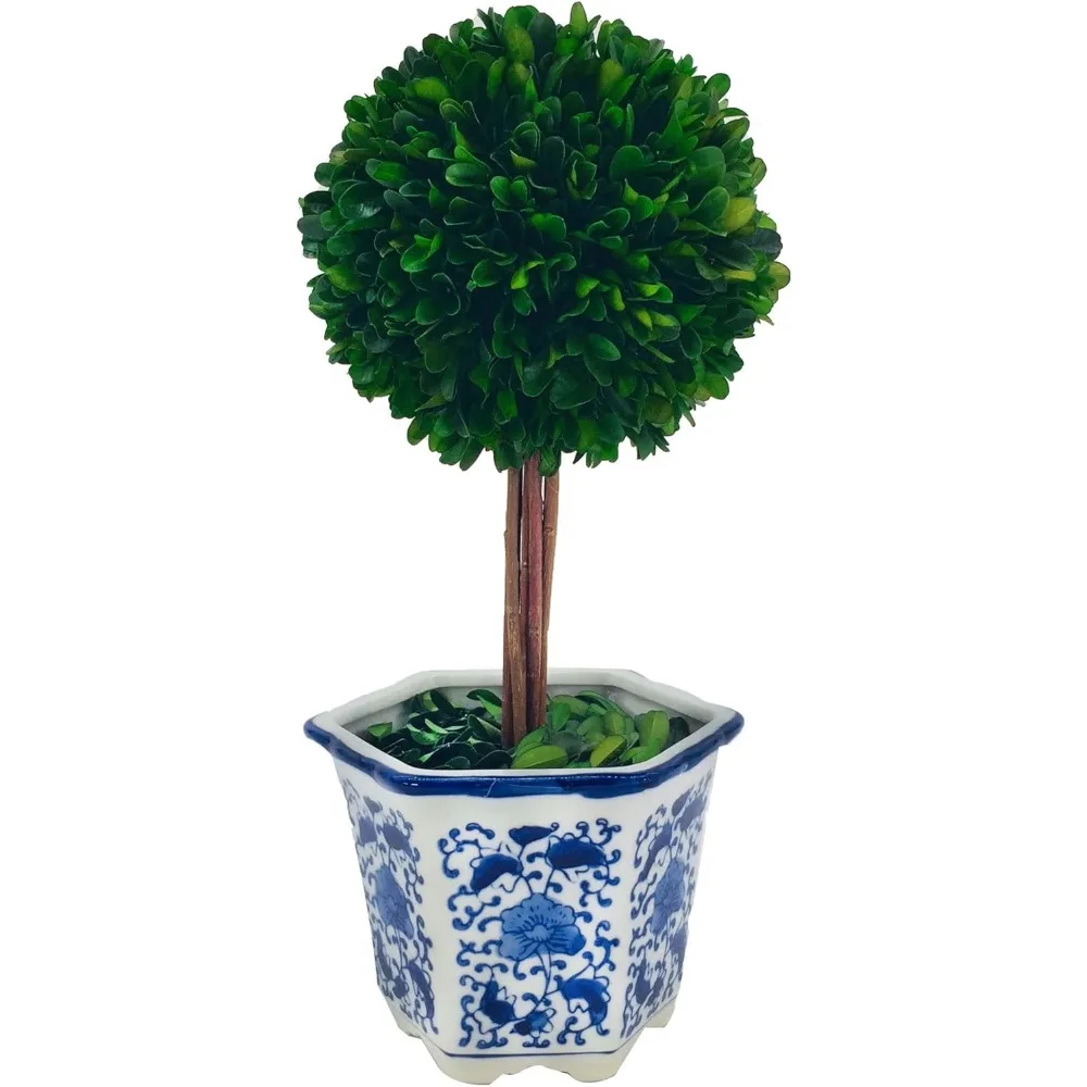 Preserved Boxwood Topiary Tree in Blue & White Ceramic Pot - Plant and Table Centerpiece Stunning Greenery nd Plant Decor
Preserved Boxwood Topiary Tree in Blue & White Ceramic Pot - Plant and Table Centerpiece Stunning Greenery nd Plant Decor