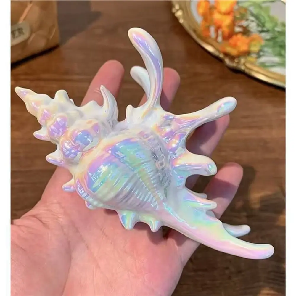 Creative design conch grabber hairpin summer beach style shark clip ocean hair accessories headdress
Creative design conch grabber hairpin summer beach style shark clip ocean hair accessories headdress
