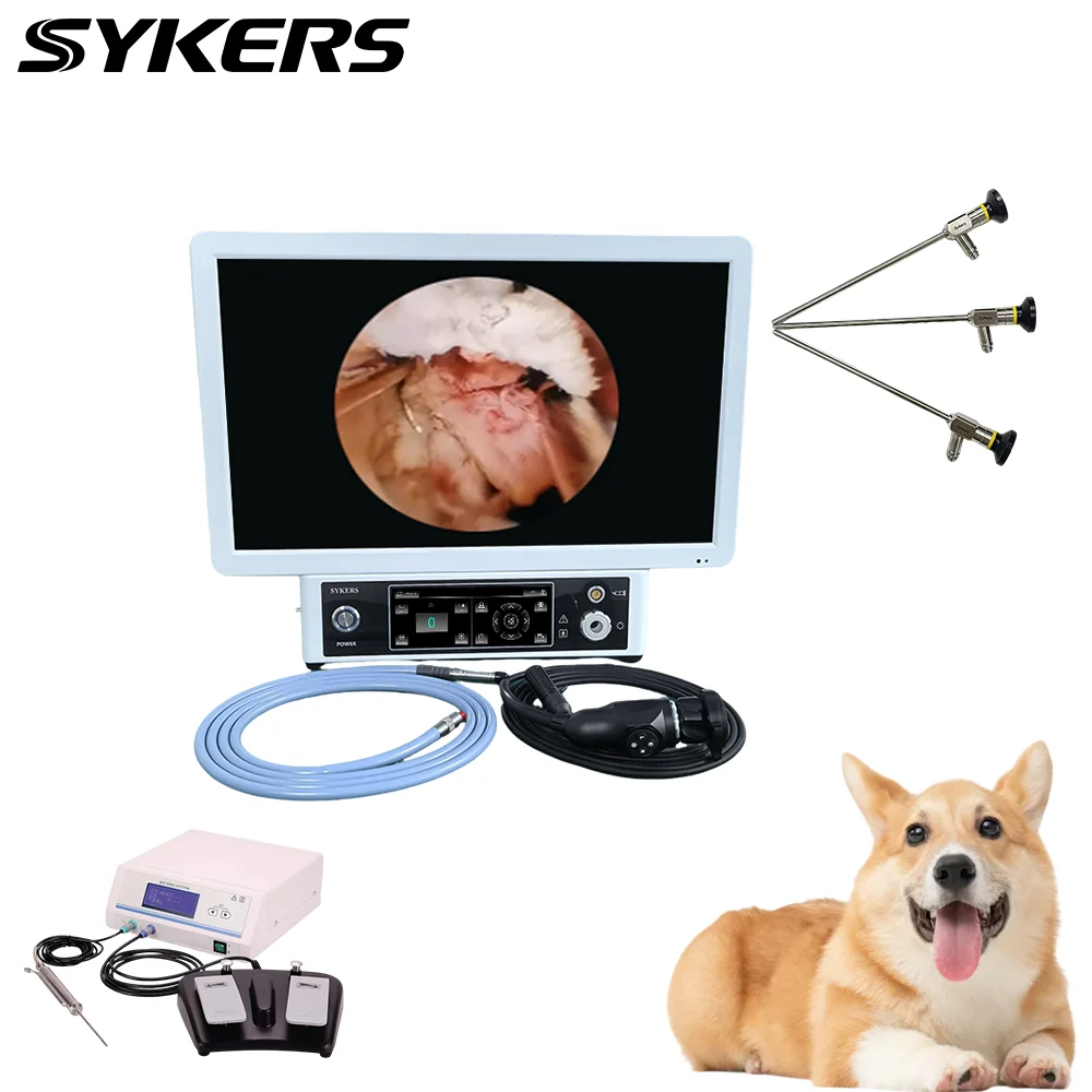 SKS-P210 Veterinary FHD Monitor Portable All-in-One Endoscope Camera Connection All Brands of Rigid Endoscopes Pet Hospital Use
SKS-P210 Veterinary FHD Monitor Portable All-in-One Endoscope Camera Connection All Brands of Rigid Endoscopes Pet Hospital Use
