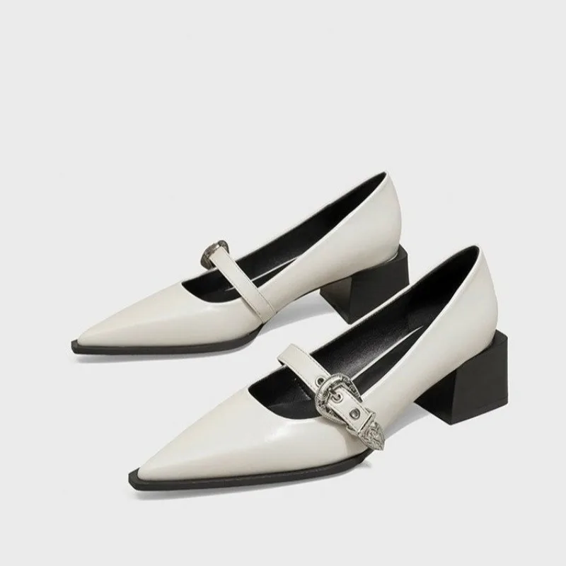 Designer Vintage Pointed Toe Women Mary Jane Shoes Fashion Shallow Buckle Shoes Spring Ladies Elegant Dress Thick Heel Shoes 43
Designer Vintage Pointed Toe Women Mary Jane Shoes Fashion Shallow Buckle Shoes Spring Ladies Elegant Dress Thick Heel Shoes 43