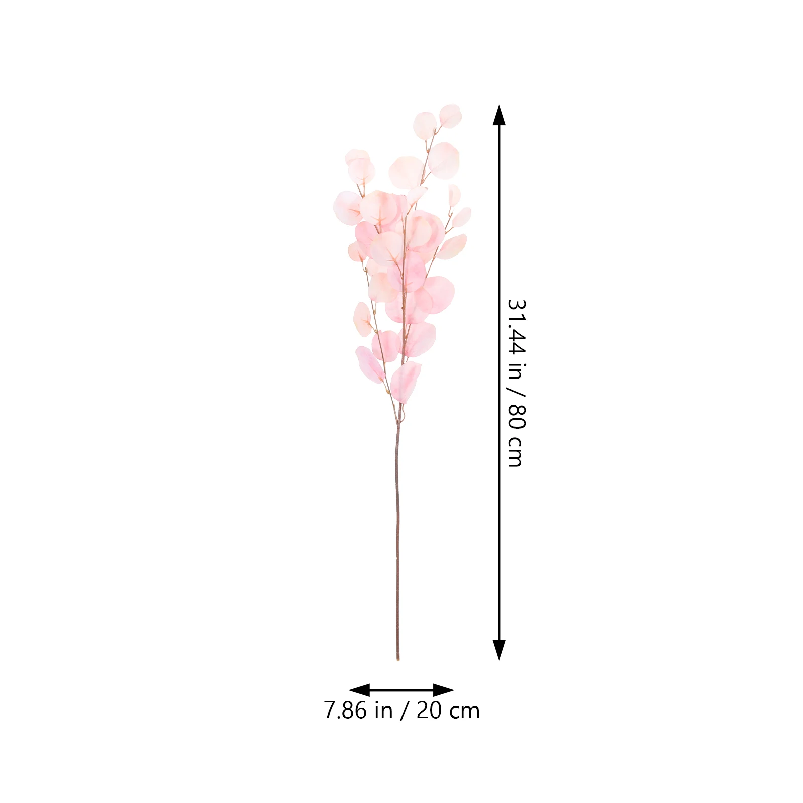 2 Pcs Indoor Simulated Eucalyptus Leaves Miss Plants Decorations Silk Flower Leaf Prop
2 Pcs Indoor Simulated Eucalyptus Leaves Miss Plants Decorations Silk Flower Leaf Prop