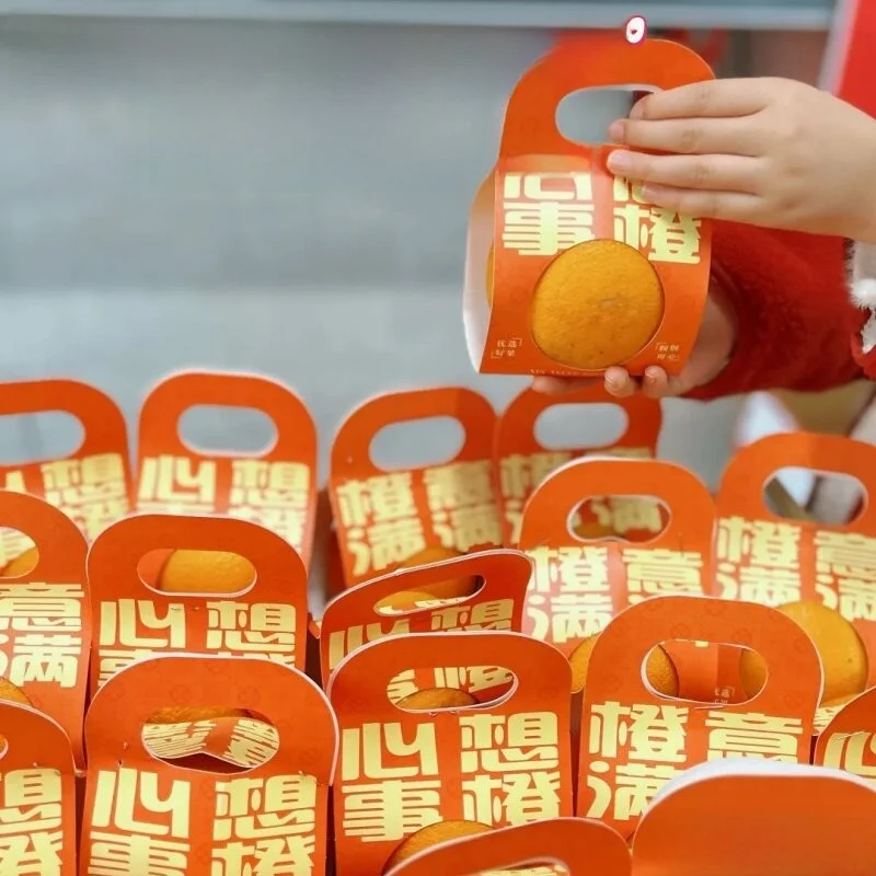Motivational Mid-term Exam Gift Fruit Packaging Box Success in Future Path Gift for College Entrance Examination Good Luck
Motivational Mid-term Exam Gift Fruit Packaging Box Success in Future Path Gift for College Entrance Examination Good Luck