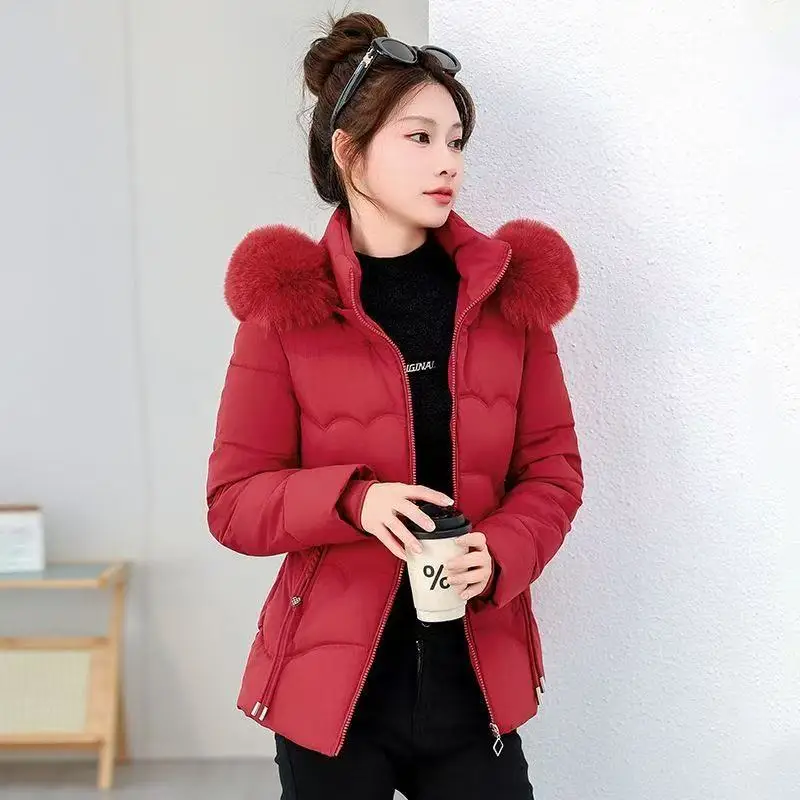 Autumn Winter Short Hooded Cotton Jacket Women Parka Coats Windproof Warm Outwear Solid color Padded Fur collar Cotton Jacket
Autumn Winter Short Hooded Cotton Jacket Women Parka Coats Windproof Warm Outwear Solid color Padded Fur collar Cotton Jacket