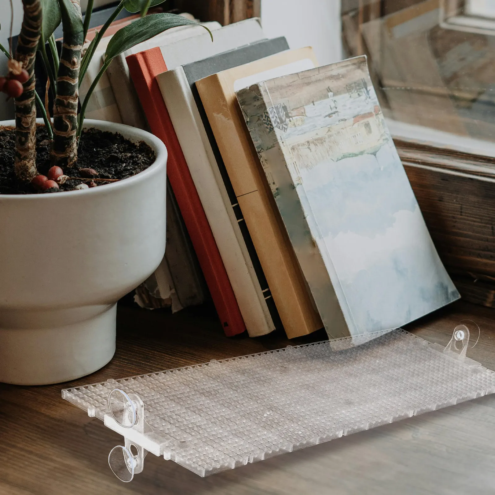 1Set Planter Base Tray Plastic Grid Divider Tray Dense Translucent Egg Crate Design for Indoor Gardening Balcony Planter Support
1Set Planter Base Tray Plastic Grid Divider Tray Dense Translucent Egg Crate Design for Indoor Gardening Balcony Planter Support