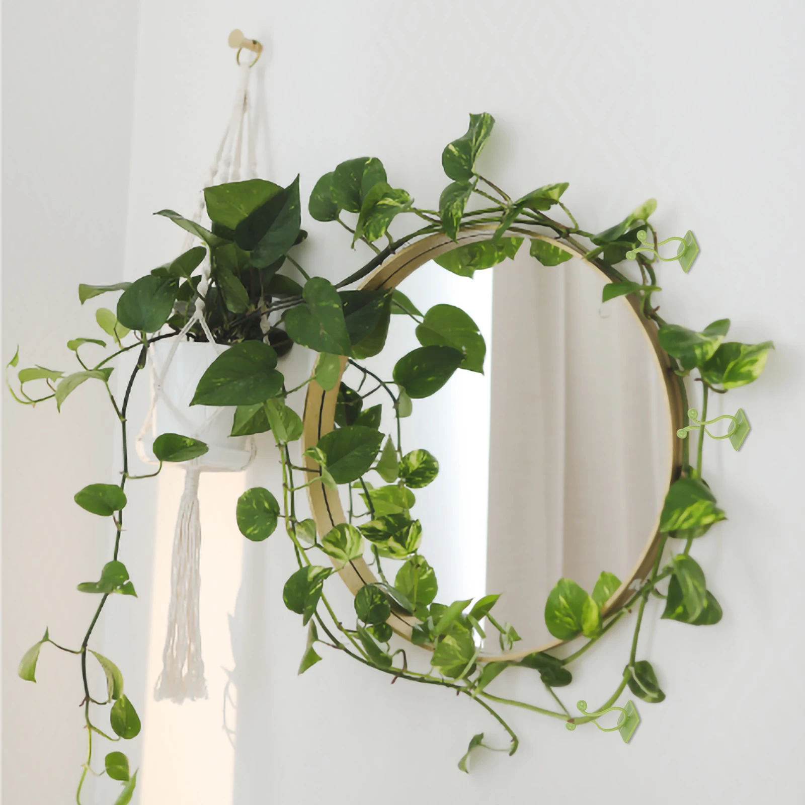 90pcs Plant Climbing Fixture Clips Vine Fixing Plant Traction Hook Garden Tool Support Clips For Vines Wall Sticky Hook
90pcs Plant Climbing Fixture Clips Vine Fixing Plant Traction Hook Garden Tool Support Clips For Vines Wall Sticky Hook