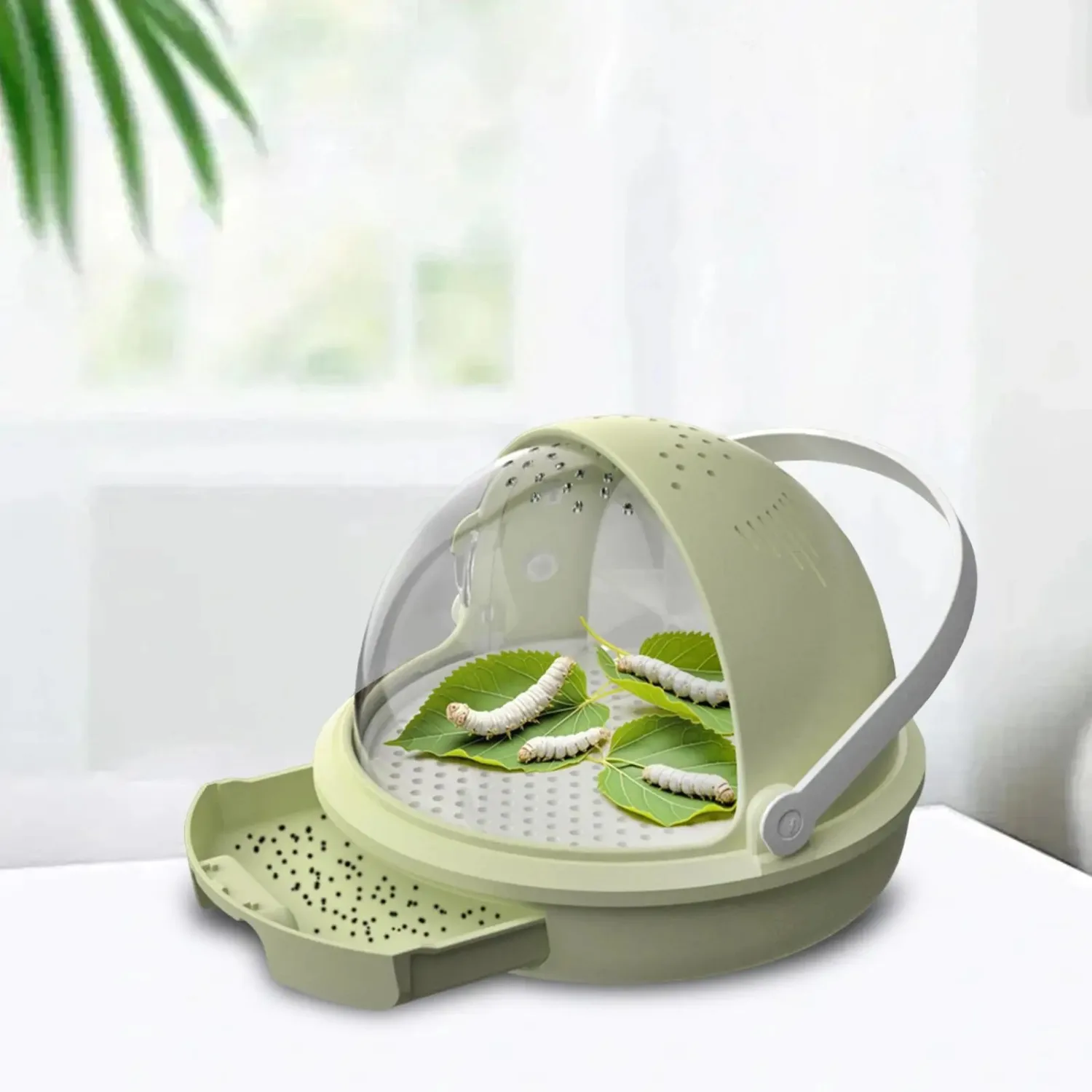 Foldable Silkworm Breeding Box with Breathable Holes – Plastic Insect Habitat Cage, Visible Door Observation Cabin for Students
Foldable Silkworm Breeding Box with Breathable Holes – Plastic Insect Habitat Cage, Visible Door Observation Cabin for Students