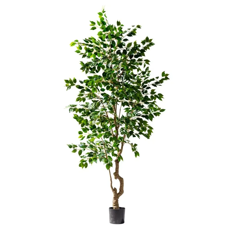 Artificial Indoor/Outdoor 6ft Potted Plants Green Yellow Grass Palm for Home Office Decoration Birthday Large Space
Artificial Indoor/Outdoor 6ft Potted Plants Green Yellow Grass Palm for Home Office Decoration Birthday Large Space