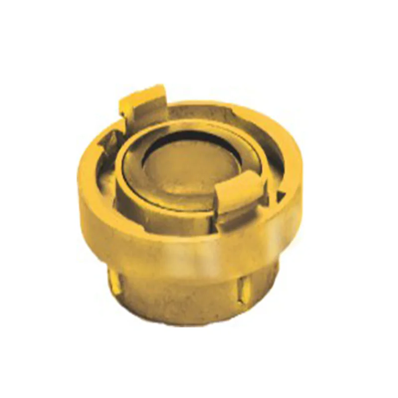 Connected With Fire Hose Aluminum Aluminum Steel Coupling For Water Pipe Coupling Manufacturer
Connected With Fire Hose Aluminum Aluminum Steel Coupling For Water Pipe Coupling Manufacturer