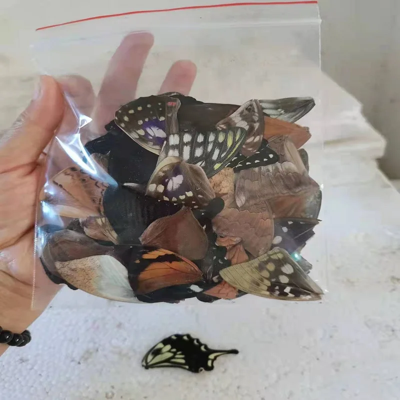 Real butterfly wings DIY handmade jewelry creative stickers mixed size packaging resin arts and crafts supplies
Real butterfly wings DIY handmade jewelry creative stickers mixed size packaging resin arts and crafts supplies