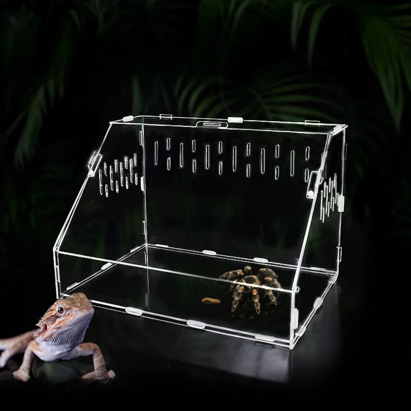 1Pc Reptiles Plastic Living Box Reptile Habitat Terrarium for Scorpion Spider Ants Lizard Breeding Feeding Case Transparent
1Pc Reptiles Plastic Living Box Reptile Habitat Terrarium for Scorpion Spider Ants Lizard Breeding Feeding Case Transparent