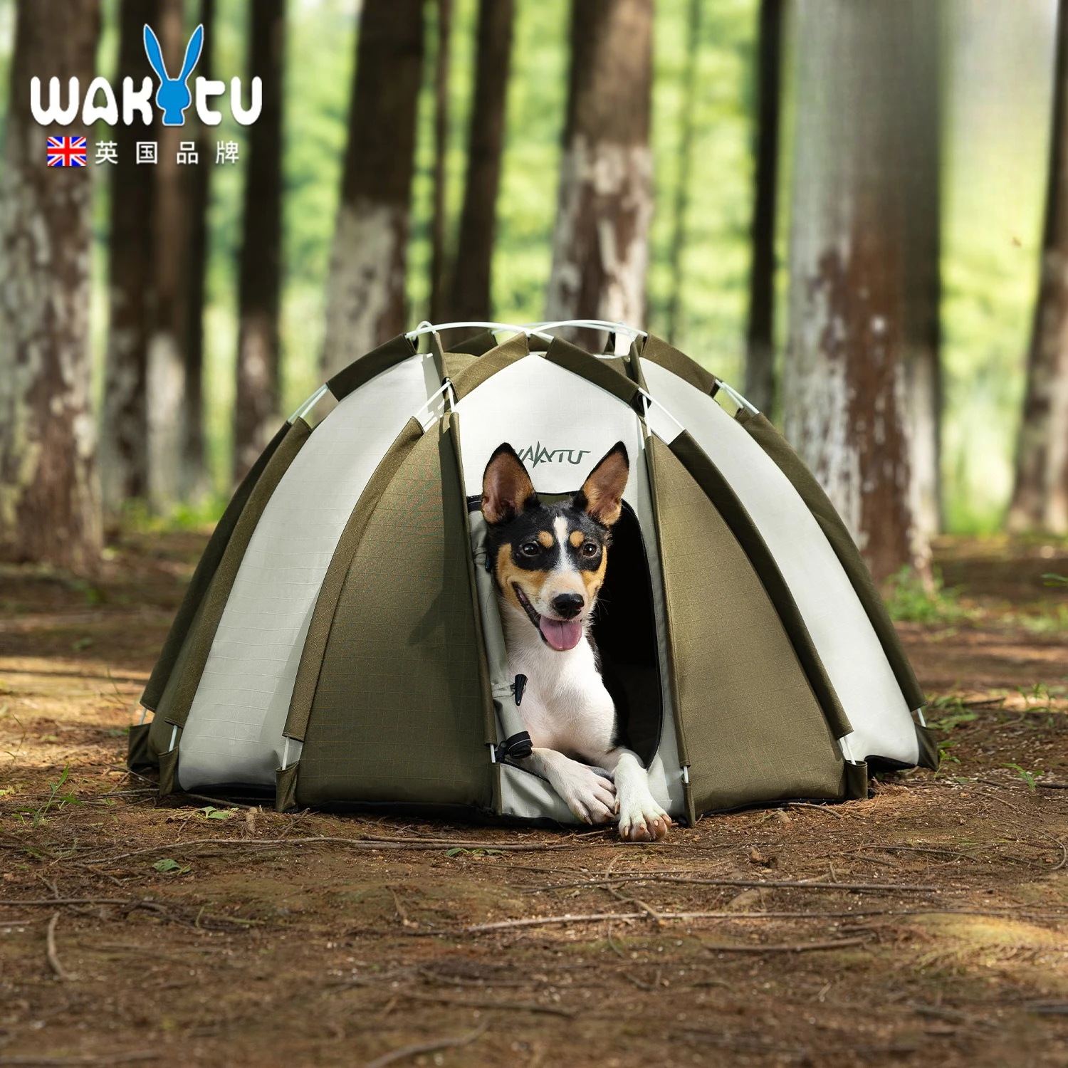 Wakytu Outdoor Dog Tent Folding Semi-enclosed Large Dog Pet Outdoor Sun Protection Camping Kennel Foldable Pet Tent
Wakytu Outdoor Dog Tent Folding Semi-enclosed Large Dog Pet Outdoor Sun Protection Camping Kennel Foldable Pet Tent