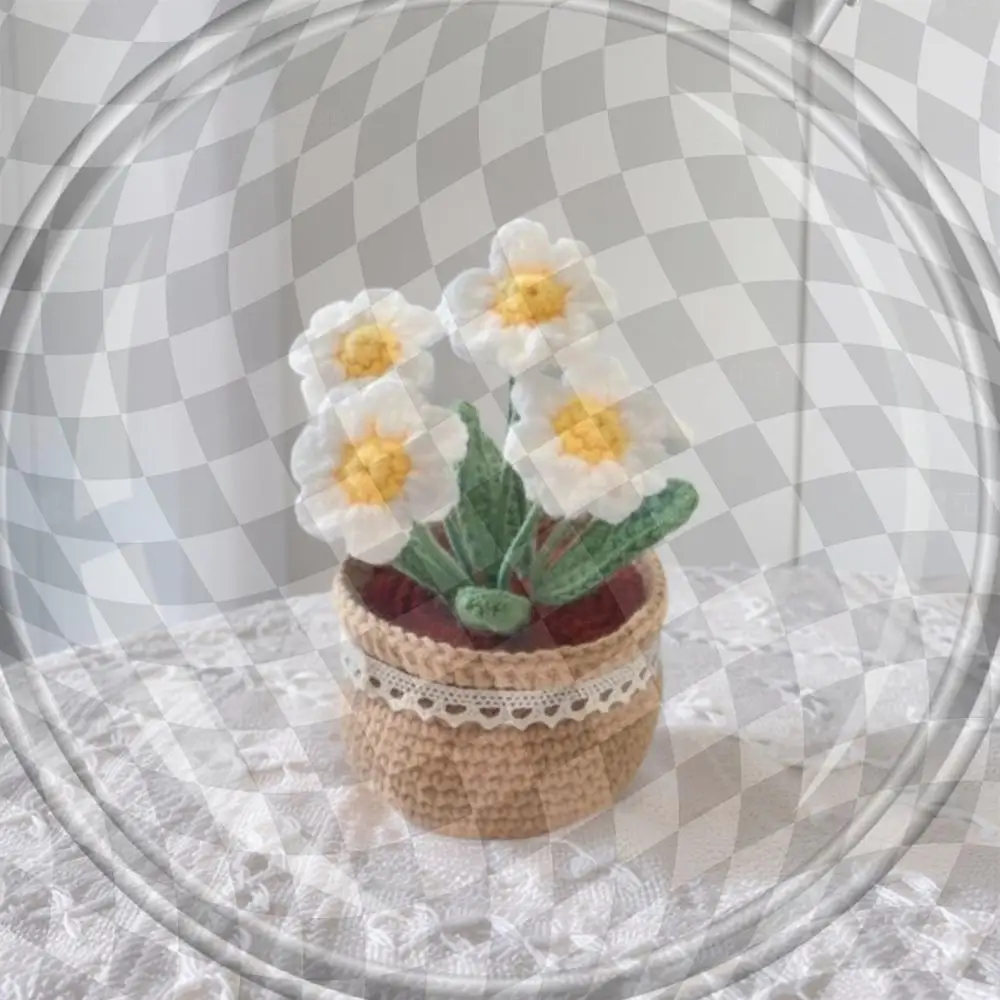 DIY Flower Potted Crochet Kit Cute Plants Hand-Knitted Tool for Kid (Daisies)
DIY Flower Potted Crochet Kit Cute Plants Hand-Knitted Tool for Kid (Daisies)