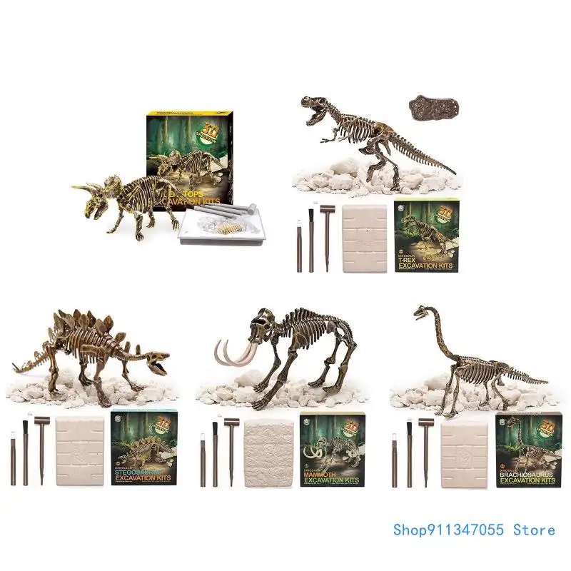 Paleontology Model DIY STEM Kits Preschools Hobby Collection Table Decoration Drop shipping
Paleontology Model DIY STEM Kits Preschools Hobby Collection Table Decoration Drop shipping