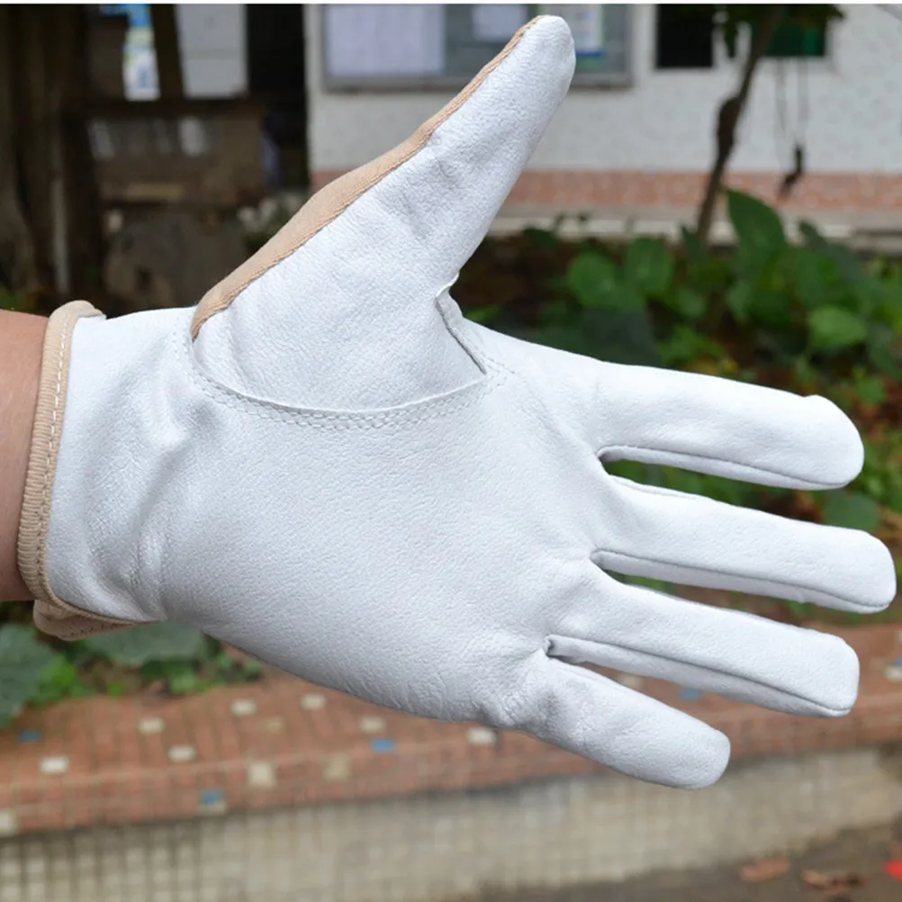 1Pair Anti-Static Gloves Wear-Resistant Industrial Protective Gloves for Electronic Work Factory Labor Chemical Resistant Size
1Pair Anti-Static Gloves Wear-Resistant Industrial Protective Gloves for Electronic Work Factory Labor Chemical Resistant Size