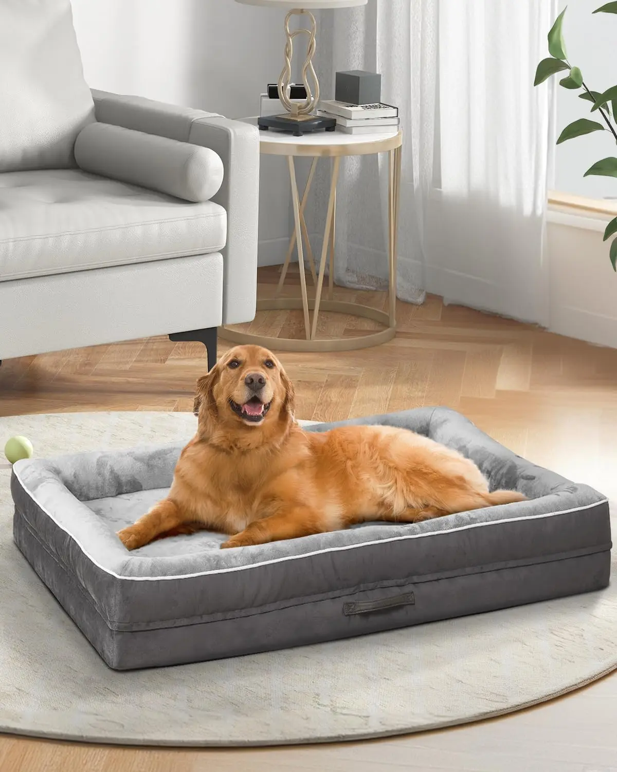 Orthopedic Dog Bed XL, Egg-Shaped Foam Sofa with Bolster, Waterproof Cover, Non-Slip Base, Gray
Orthopedic Dog Bed XL, Egg-Shaped Foam Sofa with Bolster, Waterproof Cover, Non-Slip Base, Gray