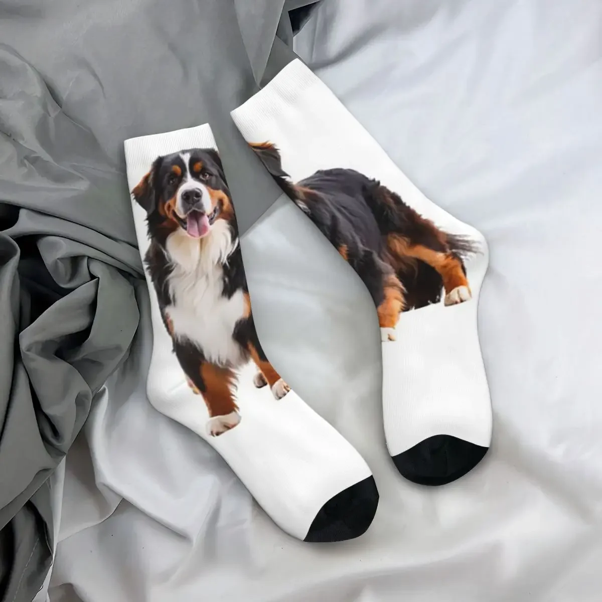 All Seasons Crew Stockings Bernese Mountain Dog Socks Casual Long Socks for Men Women Valentine's Day Gifts
All Seasons Crew Stockings Bernese Mountain Dog Socks Casual Long Socks for Men Women Valentine's Day Gifts