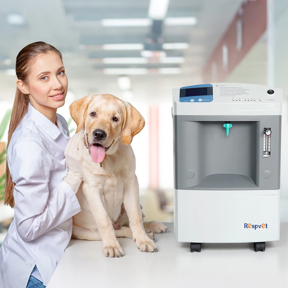 2026 Home Use Cheap Price Portable Oxygen Concentrator Veterinary Equipment Veterinary Oxygen-concentrator 10Lin stock
2026 Home Use Cheap Price Portable Oxygen Concentrator Veterinary Equipment Veterinary Oxygen-concentrator 10Lin stock