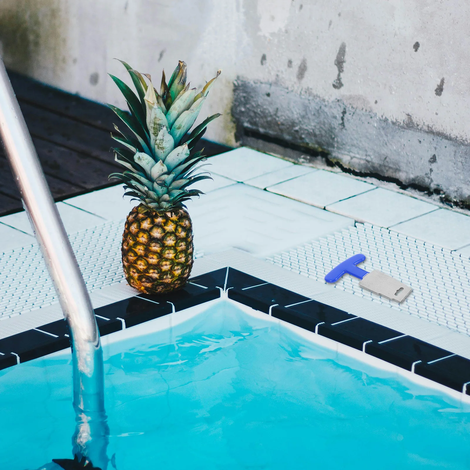 Инструмент для снятия металлической пробки для бассейна, прочная резиновая ручка, разборка сиденья для глазного яблока для возвратного струйного фитинга для подземного бассейна
Инструмент для снятия металлической пробки для бассейна, прочная резиновая ручка, разборка сиденья для глазного яблока для возвратного струйного фитинга для подземного бассейна