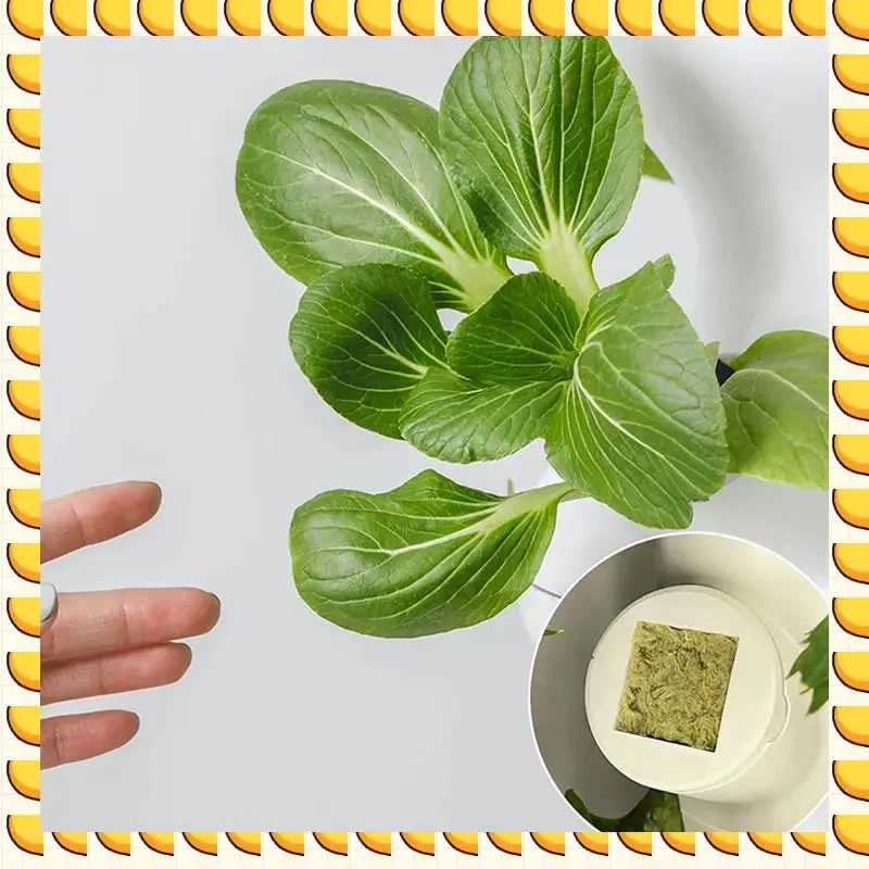 BAAU 50Pcs Stonewool Hydroponic Grow Media Starter Cubes Plant Cubes Soilless Substrate Seeded Rock Wool Plug Seedling Block
BAAU 50Pcs Stonewool Hydroponic Grow Media Starter Cubes Plant Cubes Soilless Substrate Seeded Rock Wool Plug Seedling Block