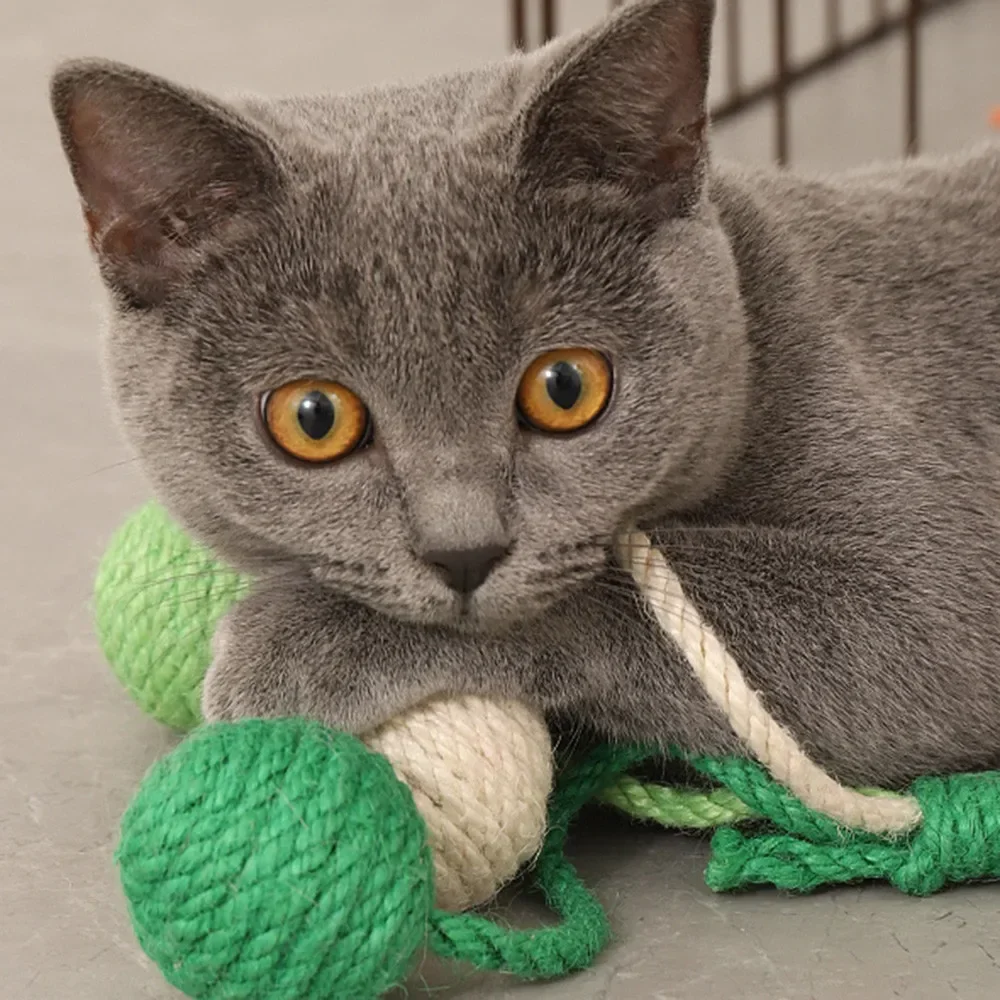 Pet Cat Ball Toy Hanging Sisal Ball Bite-resistant Wear-resistant Twine Rope Cat Teaser Squeak Relieve Boredom Toy Pet Supplies
Pet Cat Ball Toy Hanging Sisal Ball Bite-resistant Wear-resistant Twine Rope Cat Teaser Squeak Relieve Boredom Toy Pet Supplies