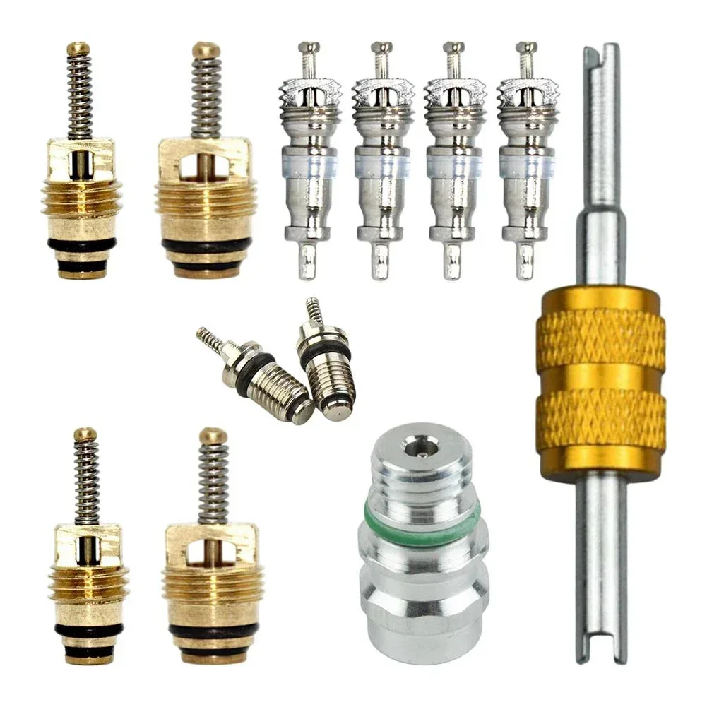 Automobile AC Repair Kit Air Conditioning Valve Core Kit Automotive Air Conditioning Exceptional Temperature Resistance
Automobile AC Repair Kit Air Conditioning Valve Core Kit Automotive Air Conditioning Exceptional Temperature Resistance
