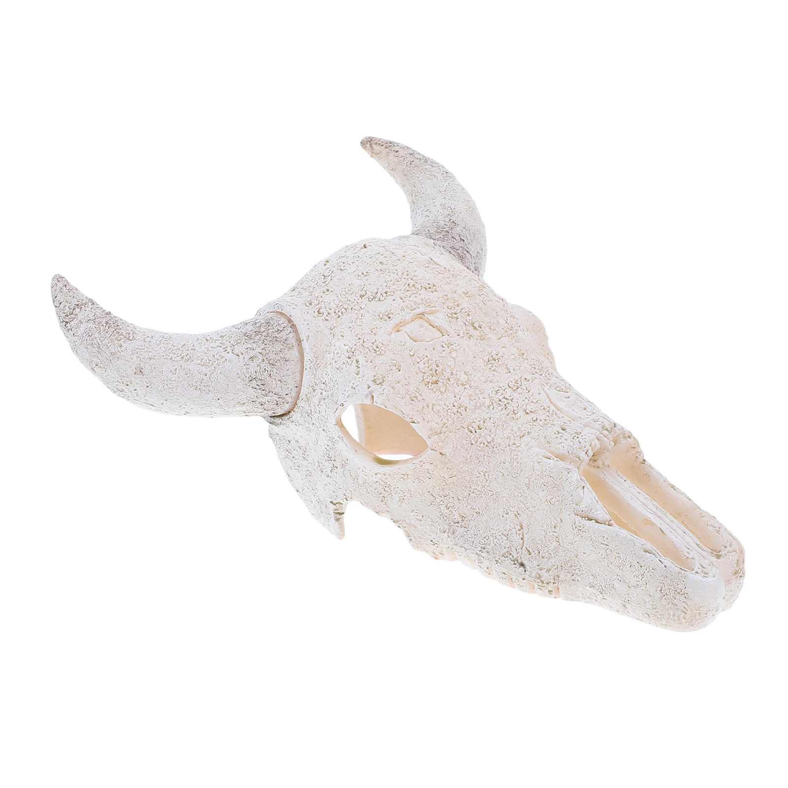 3D Realistic Cow Skull Hanging Art Resin Bull Head Statue Farmhouse Western Home Decor Wall Sculpture Easy Install Unique
3D Realistic Cow Skull Hanging Art Resin Bull Head Statue Farmhouse Western Home Decor Wall Sculpture Easy Install Unique