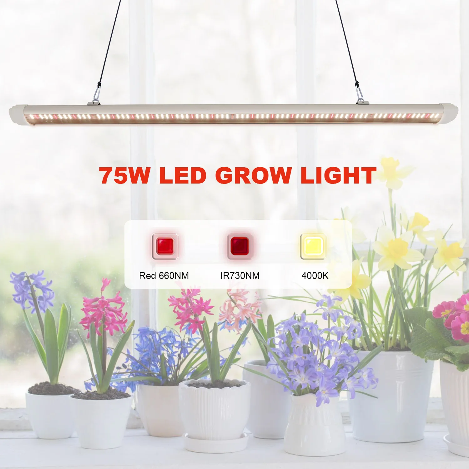 Светодиодная лампа для растений мощностью 75 Вт с полным спектром светодиодов, предназначенная для выращивания комнатных растений и цветов.
Светодиодная лампа для растений мощностью 75 Вт с полным спектром светодиодов, предназначенная для выращивания комнатных растений и цветов.