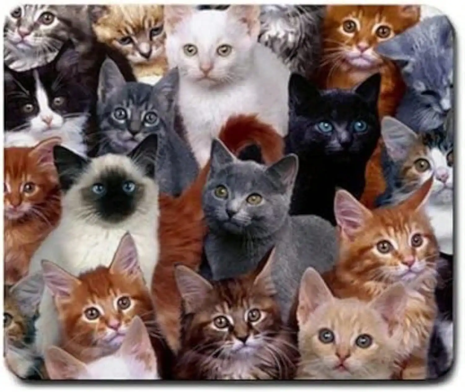 Cats Galore Mouse Pad, Square Anti-Slip Rubber Mousepad, Premium-Textured Mouse Mat, Cute Office Mouse Pads For Women Men Computer Laptop
Cats Galore Mouse Pad, Square Anti-Slip Rubber Mousepad, Premium-Textured Mouse Mat, Cute Office Mouse Pads For Women Men Computer Laptop