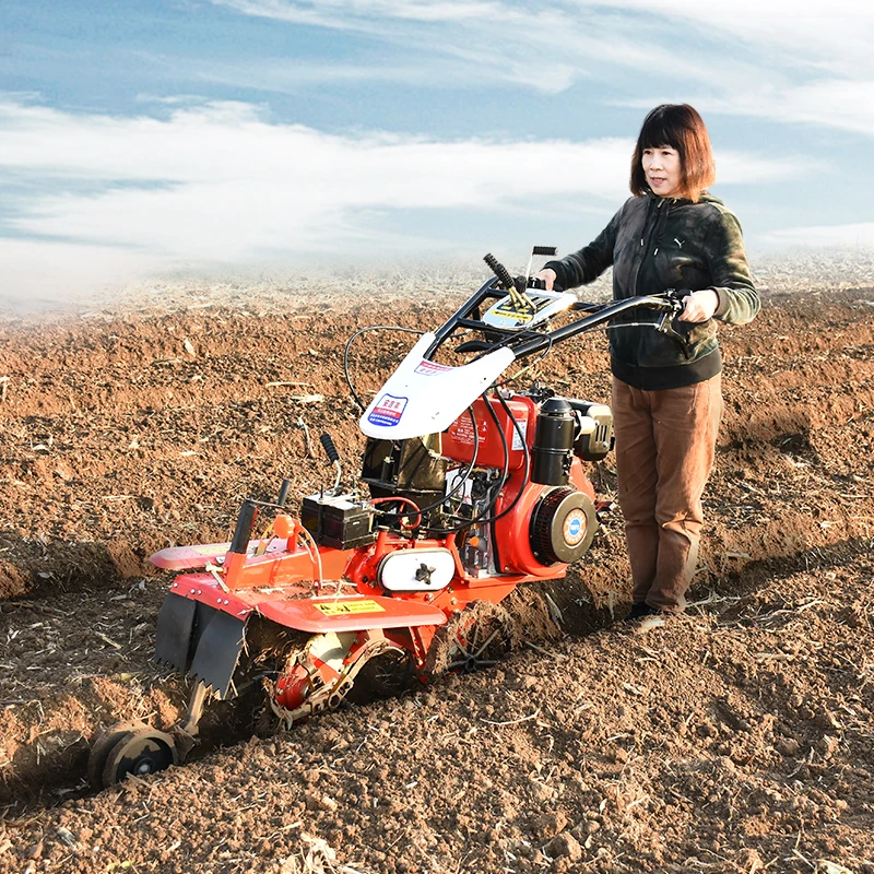 2025 New Ridging Trenching Machine Multifunctional Field Cultivator Mini Power Tiller Cultivator
2025 New Ridging Trenching Machine Multifunctional Field Cultivator Mini Power Tiller Cultivator