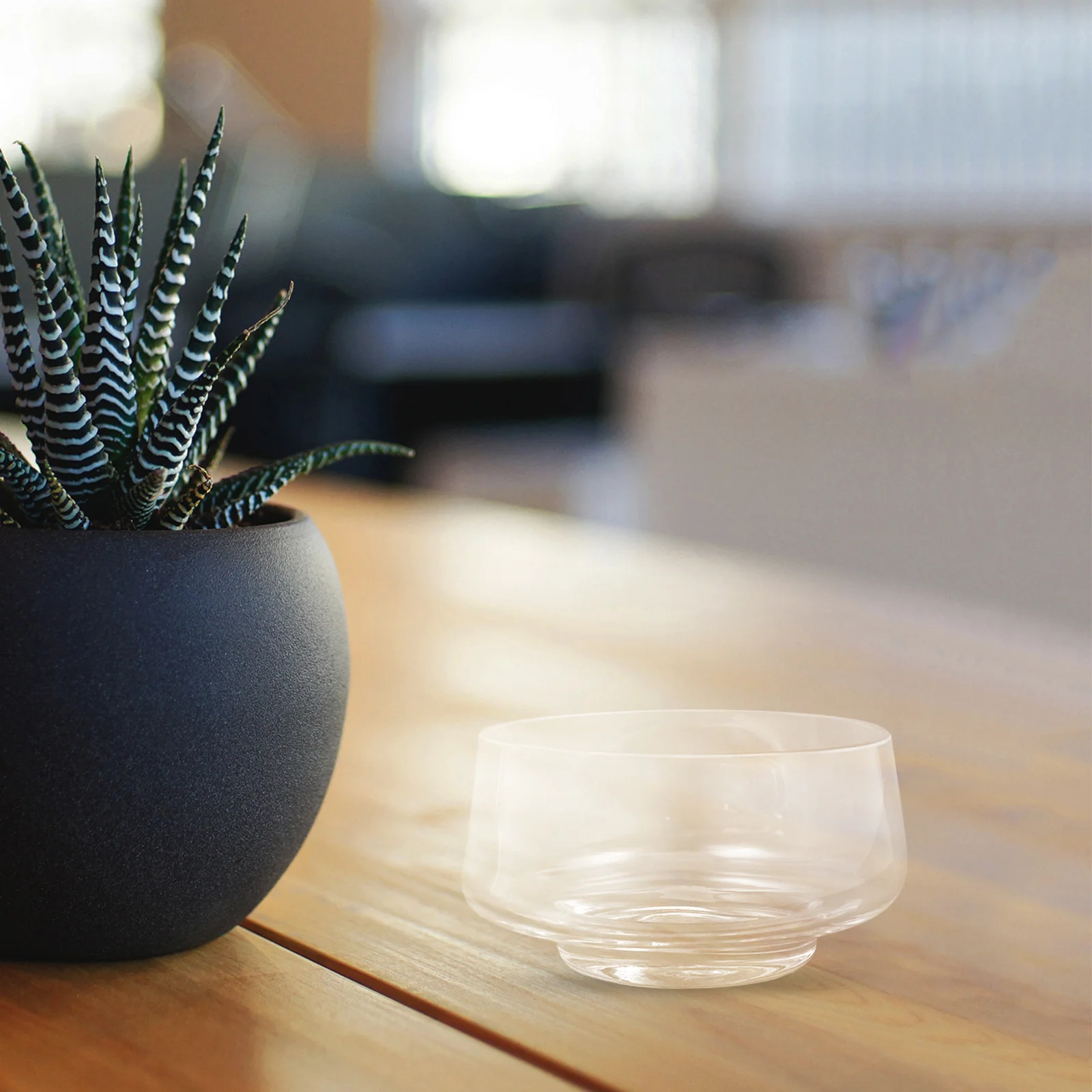 Ваза из прозрачного стекла с широким горлом для декоративных комнатных растений, суккулентов, мха, террариума, для дома и офиса
Ваза из прозрачного стекла с широким горлом для декоративных комнатных растений, суккулентов, мха, террариума, для дома и офиса