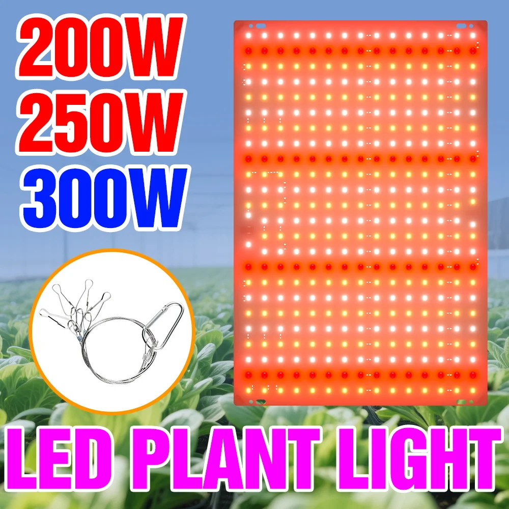 300W LED Grow Light Full Spectrum Seeding Planting Panel Lamp Greenhouse Tent Succulent Cactus Flowers Fill Lighting EU/US Plug
300W LED Grow Light Full Spectrum Seeding Planting Panel Lamp Greenhouse Tent Succulent Cactus Flowers Fill Lighting EU/US Plug