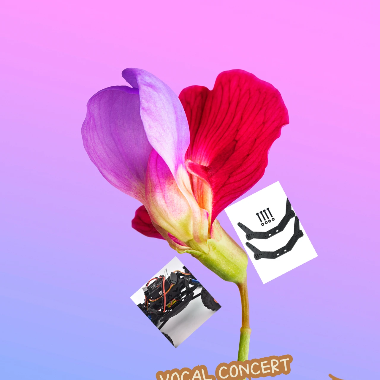 GPM Carbon Fiber Chassis Side Panels Lightweight Upgrade for AXIAL 1/24 AX24 XC-1 Crawler Brushed Off-Road Vehicles
GPM Carbon Fiber Chassis Side Panels Lightweight Upgrade for AXIAL 1/24 AX24 XC-1 Crawler Brushed Off-Road Vehicles