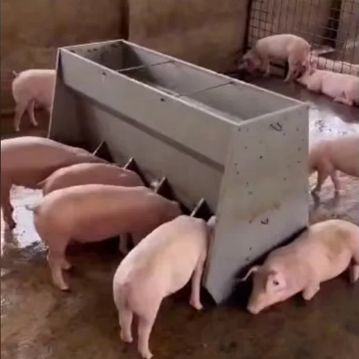 Factory Production Customizable Stainless Steel Pig Tank Used Pig Automatic Feeder
Factory Production Customizable Stainless Steel Pig Tank Used Pig Automatic Feeder