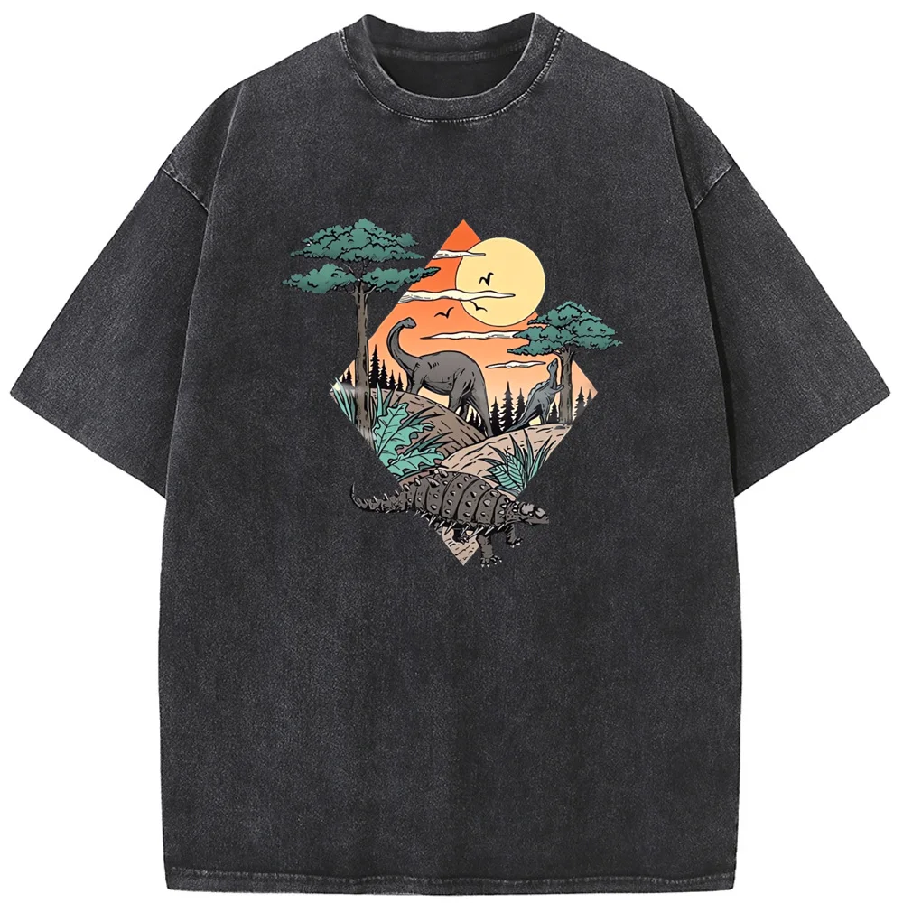 Men's Ancient Dinosaur Short-Sleeved Shirt 90s vintage unisex washed old T-shirt Hip Hop Streetwear Men Washed T-shirts
Men's Ancient Dinosaur Short-Sleeved Shirt 90s vintage unisex washed old T-shirt Hip Hop Streetwear Men Washed T-shirts