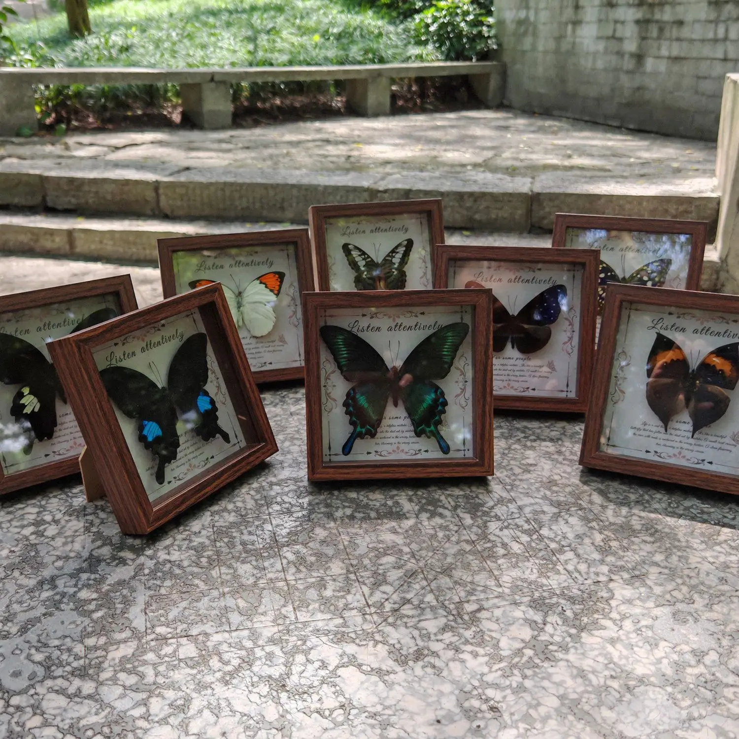 2103 Wholesale Butterfly Specimen Painting 3D Framed Shadow Box Wall Art Birthday Wedding Gift Christmas Halloween Party Decor
2103 Wholesale Butterfly Specimen Painting 3D Framed Shadow Box Wall Art Birthday Wedding Gift Christmas Halloween Party Decor
