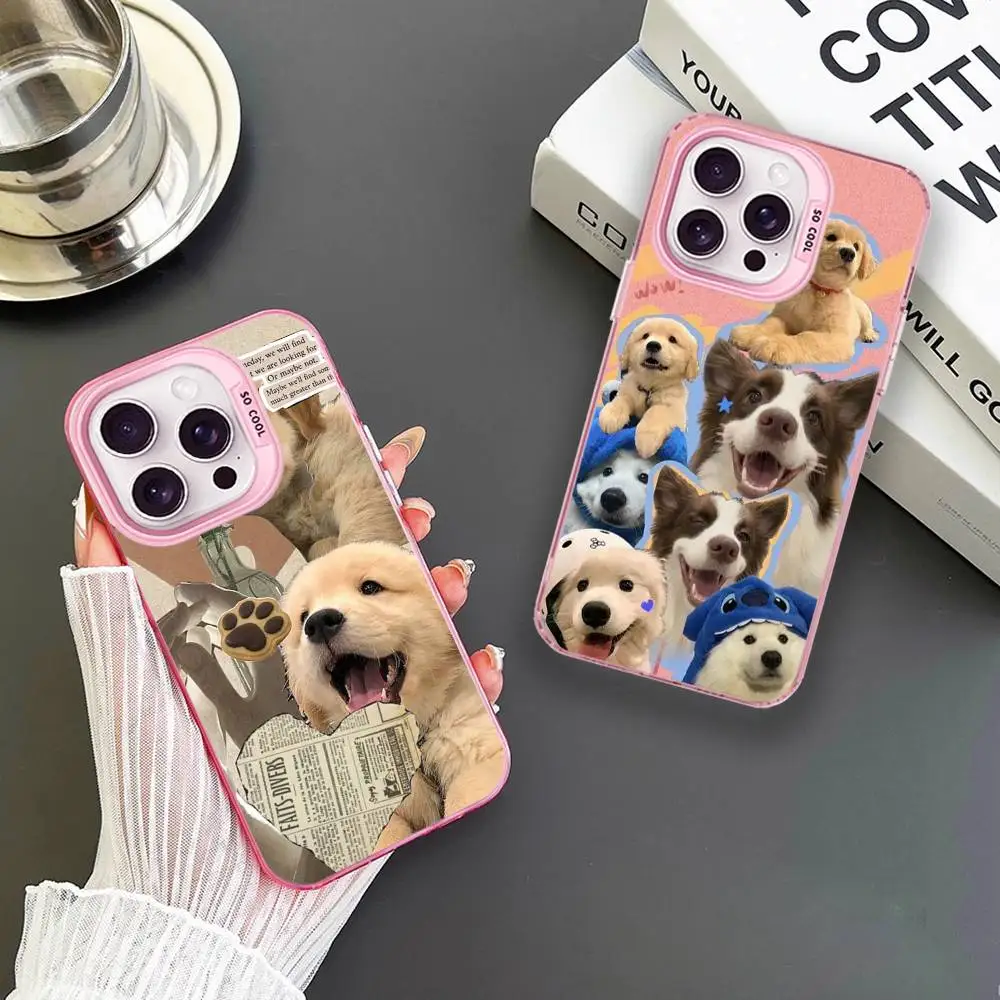 Cute Puppy Phone Case For iPhone 16,15,14,13,12,11,Mini,Pro,MAX Pink Matte Shockproof Cover 
Cute Puppy Phone Case For iPhone 16,15,14,13,12,11,Mini,Pro,MAX Pink Matte Shockproof Cover